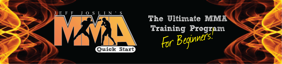 Top Beginner MMA Online Training Program